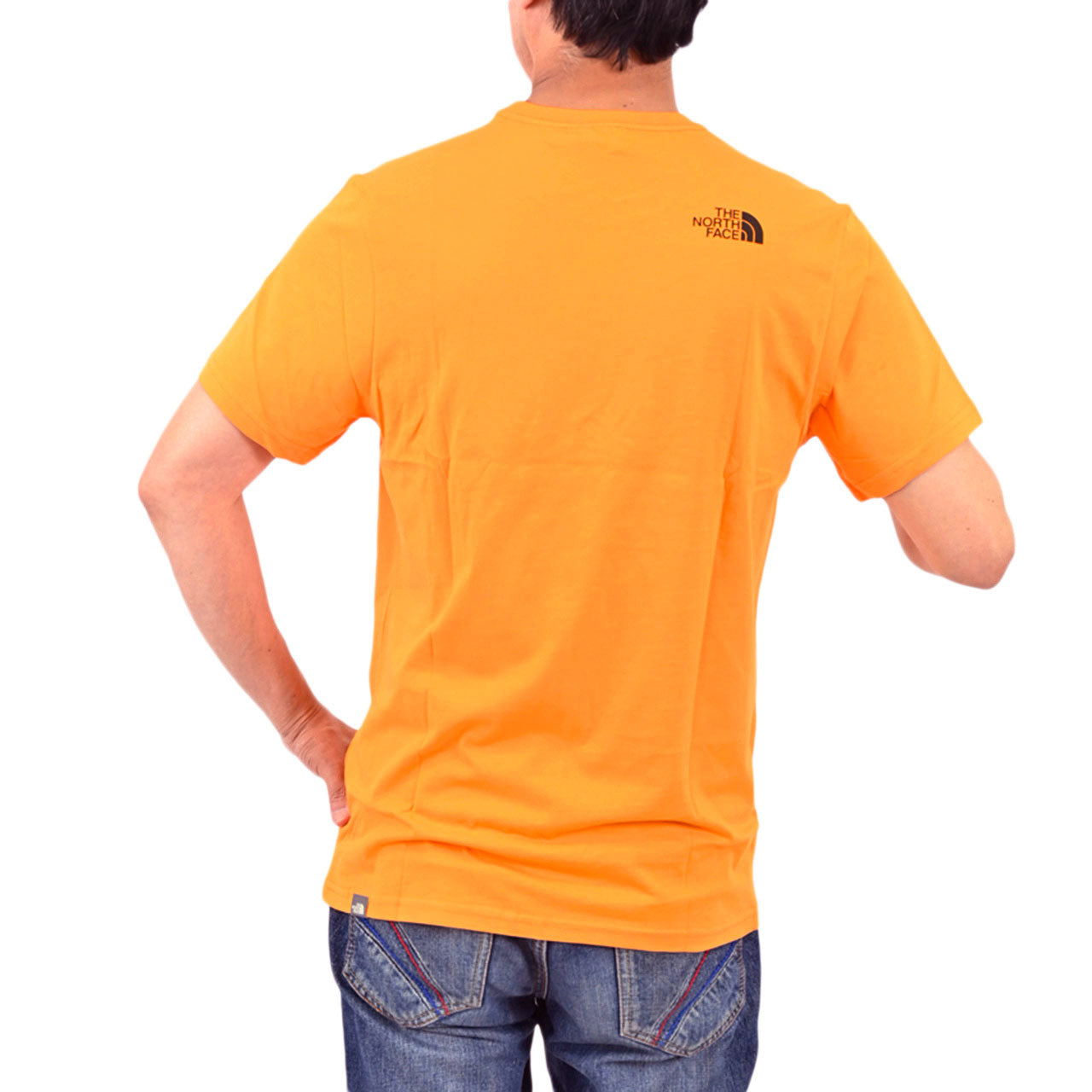 ザノースフェイス Tシャツ THE NORTH FACE NF0A4T1GPKH1 PKH1 オレンジ　メンズ　NATURAL WONDERS TEE